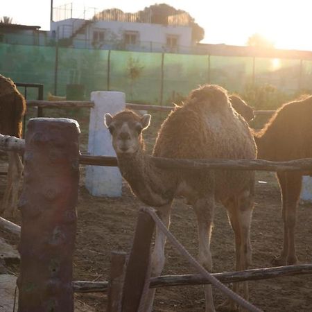 Affittacamere La Granja Tétouan Esterno foto