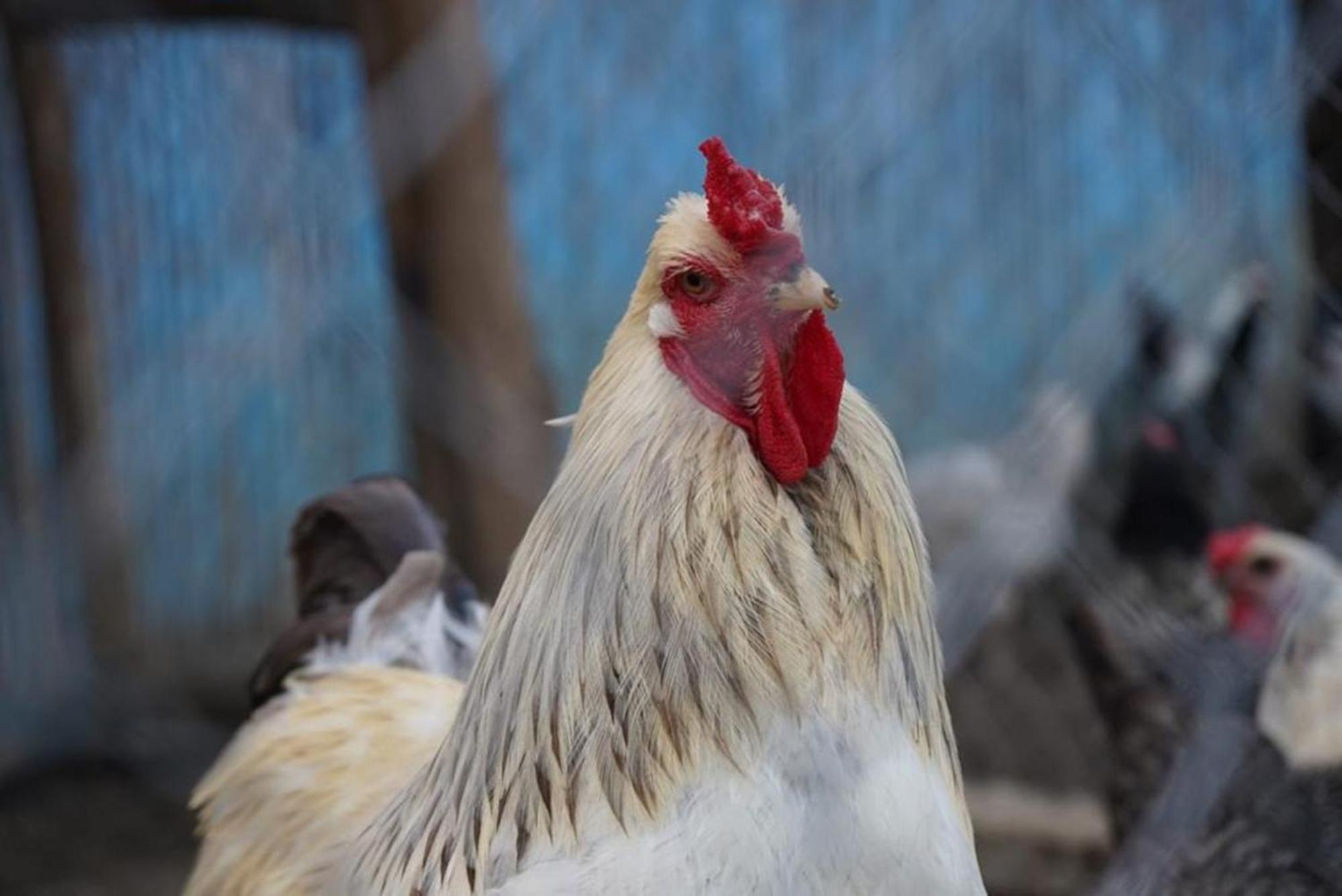 Affittacamere La Granja Tétouan Esterno foto