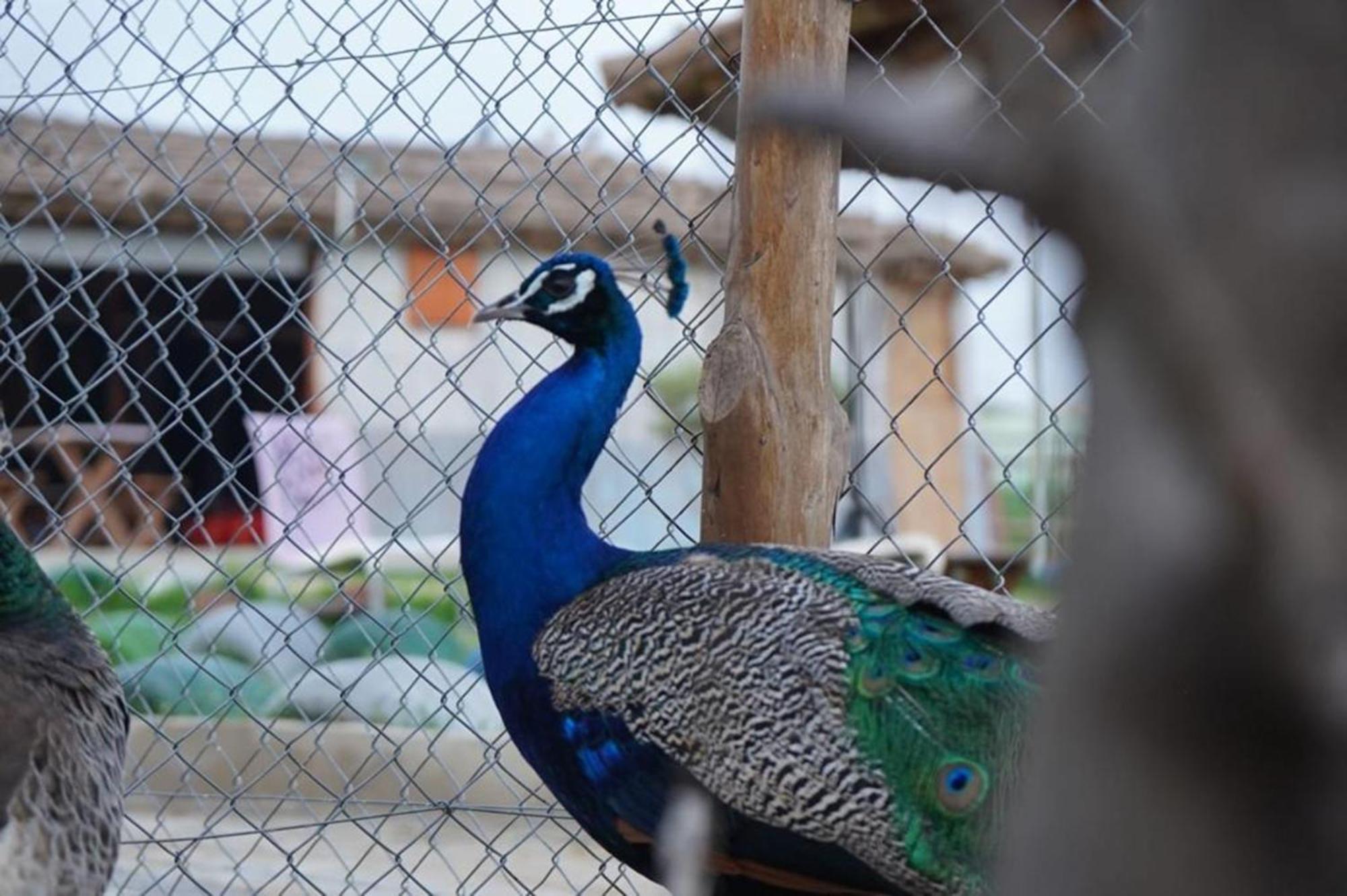 Affittacamere La Granja Tétouan Esterno foto