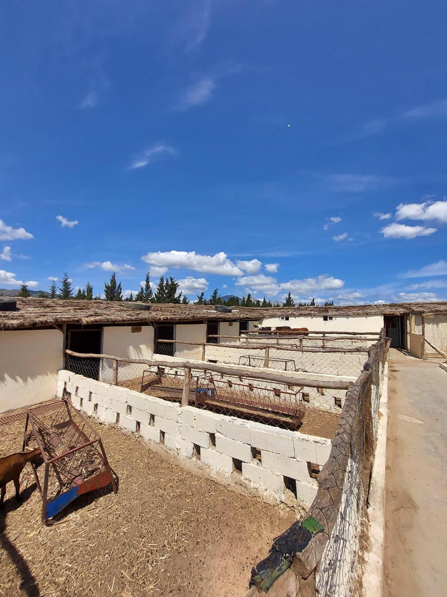 Affittacamere La Granja Tétouan Esterno foto