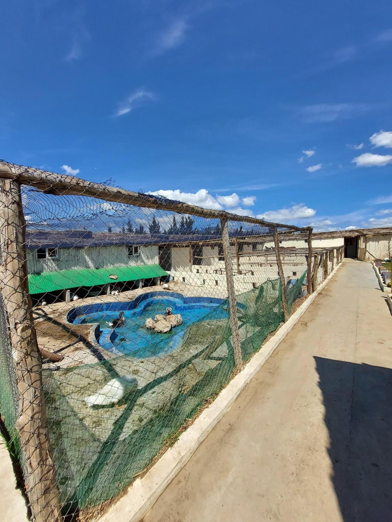 Affittacamere La Granja Tétouan Esterno foto