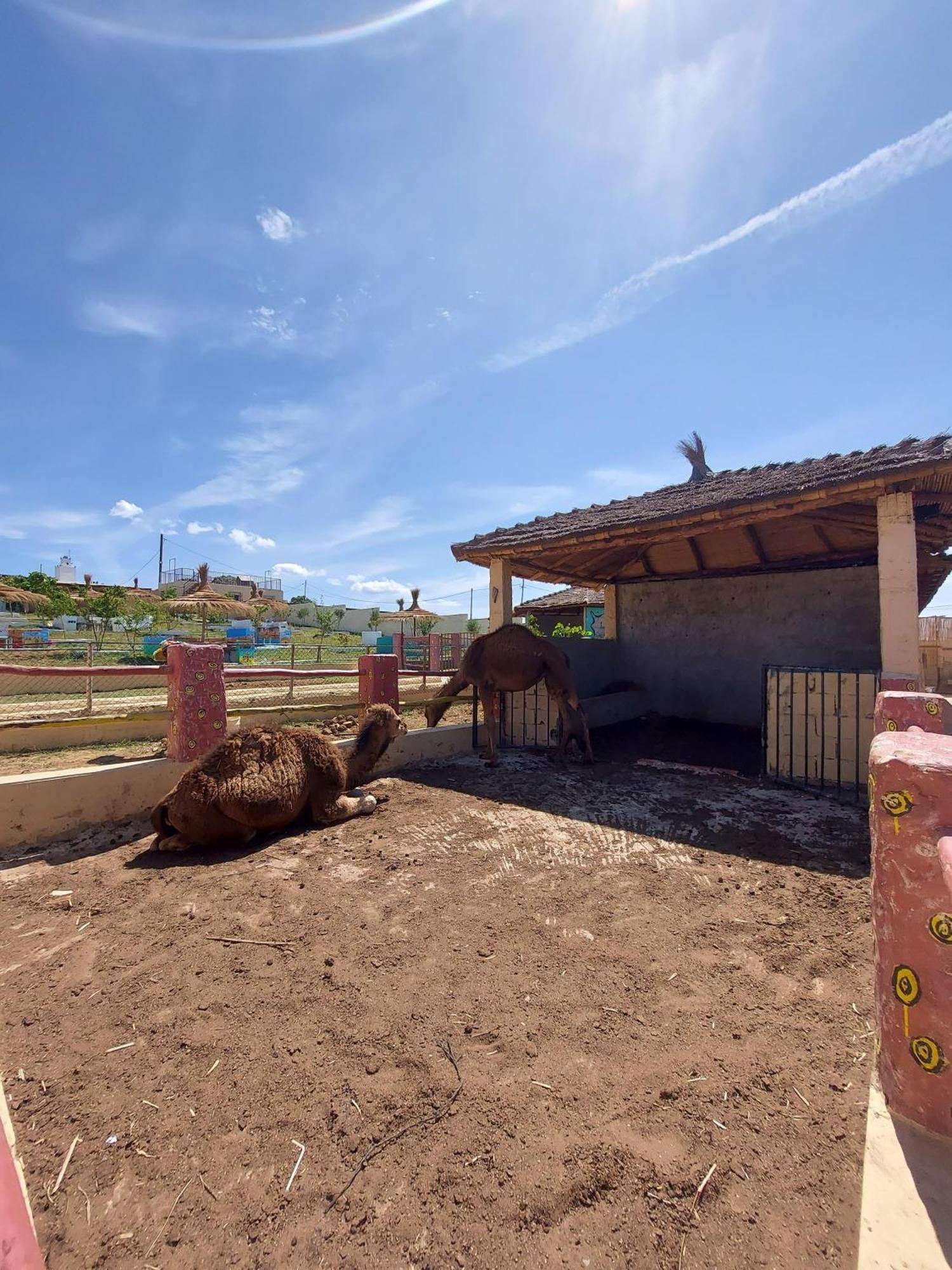 Affittacamere La Granja Tétouan Esterno foto