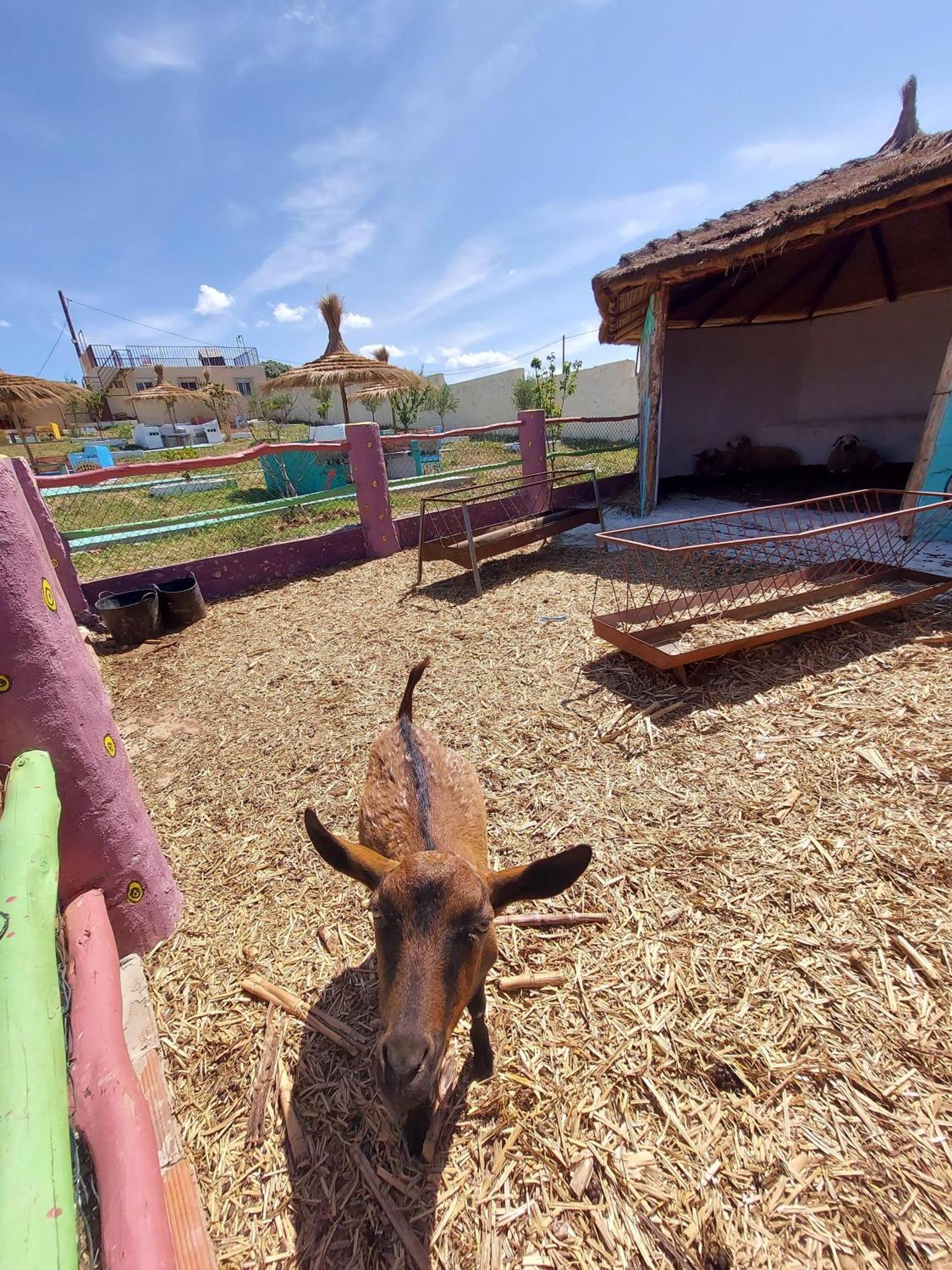 Affittacamere La Granja Tétouan Esterno foto